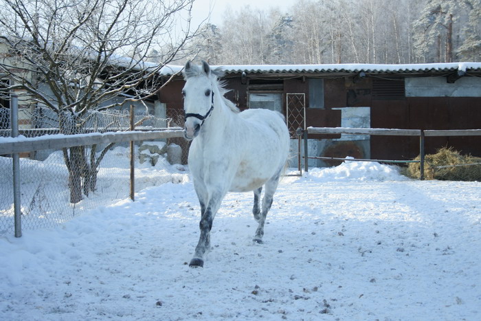 IMG_2073.jpg1.jpg"%20height="467"%20width="700